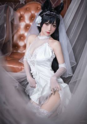 shameless第五季在线观看_超清在线播放